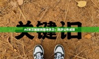 AC米兰加盟前国米铁卫:玛莎公布成绩