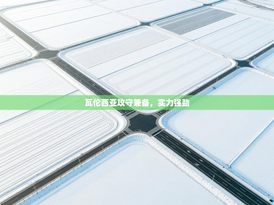 瓦伦西亚攻守兼备,实力强劲 第1张