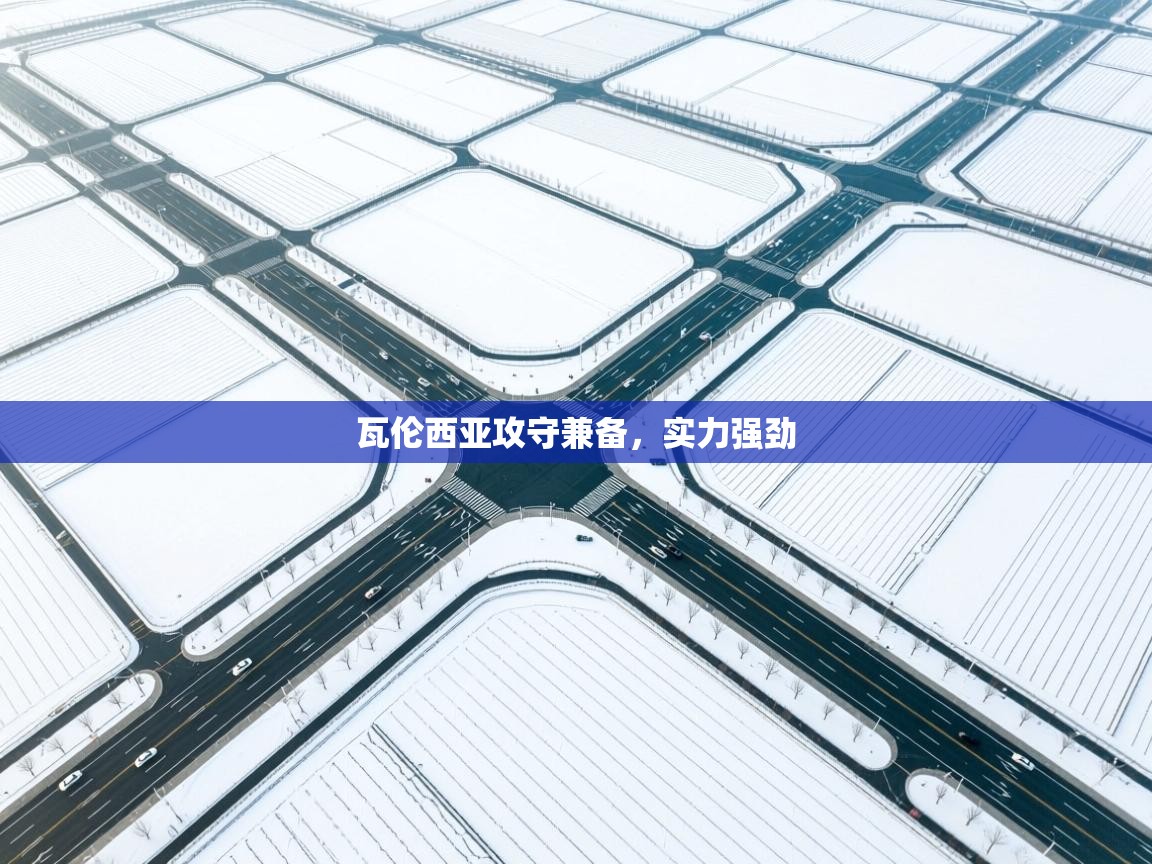 瓦伦西亚攻守兼备,实力强劲 第2张